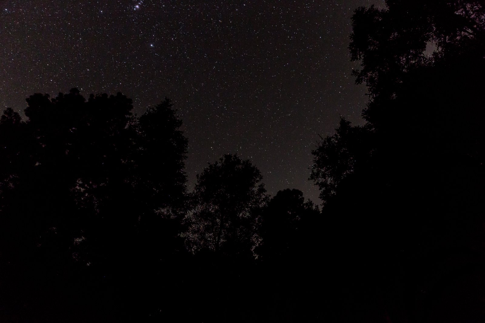 Cielo estrellado sobre el bosque de Nanacamilpa, Tlaxcala